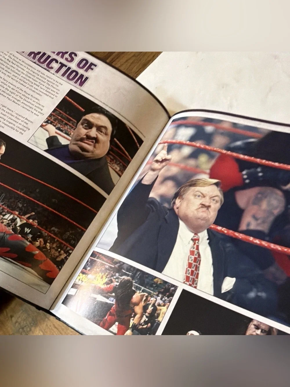 DK WWE Undertaker 25 Years of Destruction Hardcover Book 2015